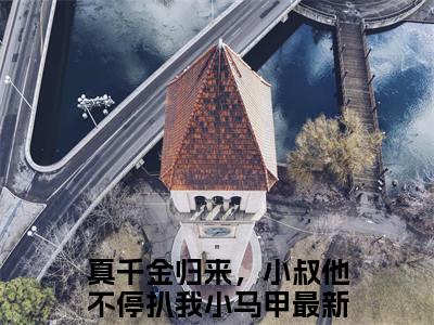 真千金归来，小叔他不停扒我小马甲大结局全文免费阅读最新章节_傅砚辞沈知意大结局