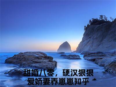 甜婚八零，硬汉狠狠爱娇妻养崽崽全文免费（林西西程止戈）全文免费阅读无弹窗大结局_（林西西程止戈全文免费甜婚八零，硬汉狠狠爱娇妻养崽崽）