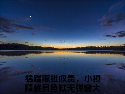 猛踹疯批权贵，小撩精藏身鱼缸小说免费阅读无弹窗《沉婳凤郁商》_沉婳凤郁商全文阅读猛踹疯批权贵，小撩精藏身鱼缸