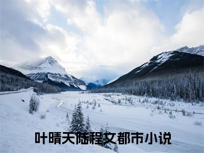 叶晴天陆程文阅读无弹窗大结局_（叶晴天陆程文阅读无弹窗）最新章节列表_笔趣阁（叶晴天陆程文）