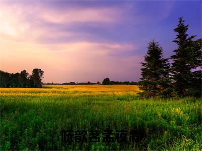 阮歆茗孟夜霖小说（阮歆茗孟夜霖）全文免费阅读无弹窗大结局_阮歆茗孟夜霖全文免费阅读无弹窗最新章节列表笔趣阁（阮歆茗孟夜霖）