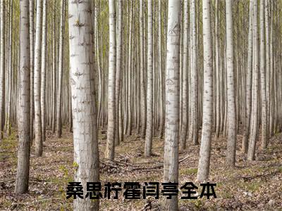 桑思柠霍闫亭小说在哪里可以看-快手热推桑思柠霍闫亭(桑思柠霍闫亭)小说全章节最新阅读