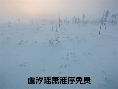 虞汐瑶萧淮序（虞汐瑶萧淮序）全集免费阅读无弹窗_(虞汐瑶萧淮序小说免费阅读)_笔趣阁