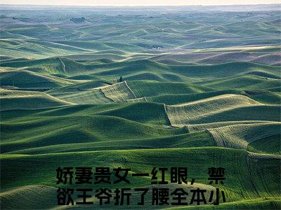 萧琅炎沈定珠（娇妻贵女一红眼，禁欲王爷折了腰）最新免费小说-娇妻贵女一红眼，禁欲王爷折了腰（萧琅炎沈定珠）全文全章节免费阅读