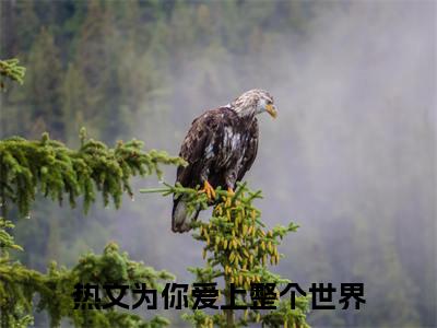 秦德雅许洺川（为你爱上整个世界小说）全文免费阅读无弹窗大结局_为你爱上整个世界小说免费阅读-笔趣阁