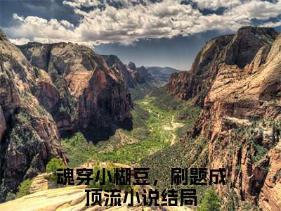 林霏（魂穿小糊豆，刷题成顶流）全文免费阅读无弹窗大结局_魂穿小糊豆，刷题成顶流_笔趣阁