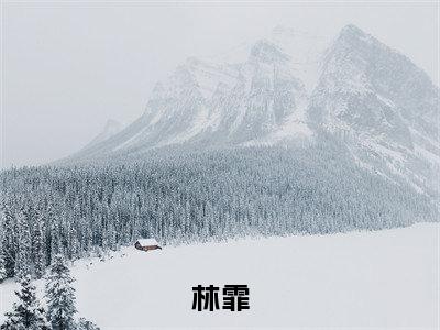 林霏全集小说（魂穿小糊豆，刷题成顶流）全文免费阅读无弹窗大结局_魂穿小糊豆，刷题成顶流最新章节列表_笔趣阁（林霏）