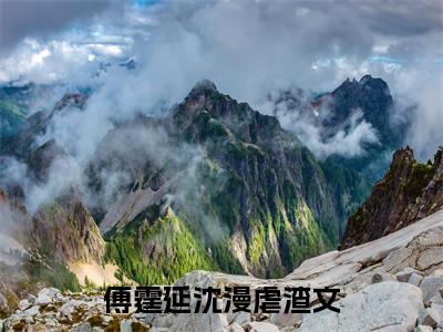 傅霆延沈漫在线阅读（傅霆延沈漫）全文免费阅读无弹窗大结局_傅霆延沈漫精选免费小说