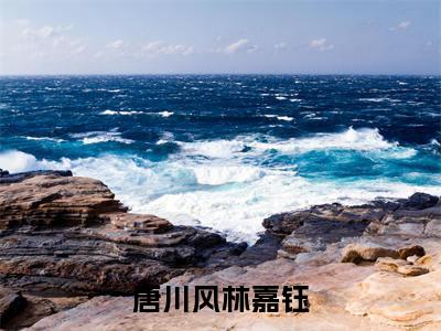 唐川风林嘉钰小说讲的是什么-唐川风林嘉钰精彩章节目录观看
