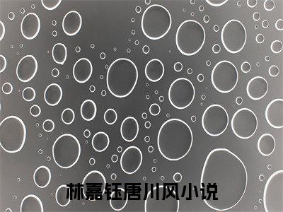 林嘉钰唐川风小说全文无删减版 林嘉钰唐川风在线阅读