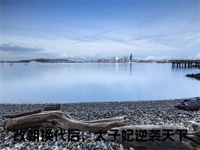 改朝换代后，太子妃逆袭天下（00）小说全文免费阅读无弹窗大结局_（杜文熙）改朝换代后，太子妃逆袭天下最新章节列表（改朝换代后，太子妃逆袭天下）