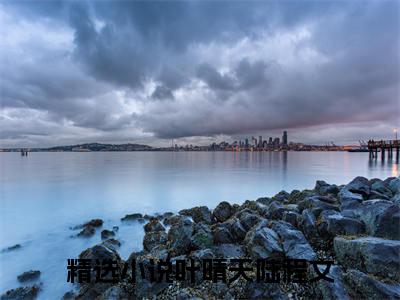 叶晴天陆程文（叶晴天陆程文）全文免费阅读无弹窗大结局_（叶晴天陆程文全文免费阅读无弹窗）叶晴天陆程文最新章节列表_笔趣阁（叶晴天陆程文）