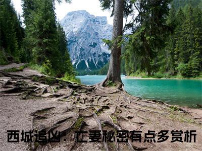 程安雨（西城追凶：亡妻秘密有点多）正版小说最新章节在线阅读_（西城追凶：亡妻秘密有点多全文免费阅读无弹窗）