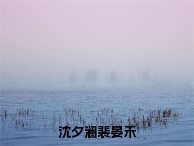 沈夕澜裴晏禾免费小说-沈夕澜裴晏禾已更新最新章节