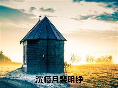 沈栖月裴明铮免费阅读(沈栖月裴明铮)小说全文免费阅读无弹窗大结局_(沈栖月裴明铮)最新章节列表_笔趣阁(沈栖月裴明铮)