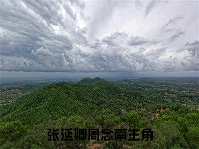 张延卿周念南小说全文阅读无弹窗大结局_（张延卿周念南）最新章节列表_笔趣阁