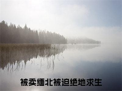 被卖缅北被迫绝地求生小说（沈媚淑孟星宇）全文免费阅读无弹窗_被卖缅北被迫绝地求生小说_笔趣阁