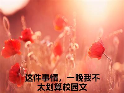 姜瑜时泉小说（这件事情，一晚我不太划算）精彩免费小说_姜瑜时泉全文免费阅读无弹窗大结局笔趣阁