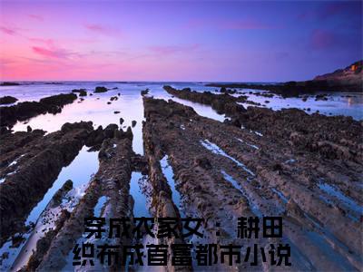 小说（七巧）免费阅读-小说（穿成农家女 ：耕田织布成首富）无弹窗大结局 七巧全文在线赏析最新章节列表_笔趣阁