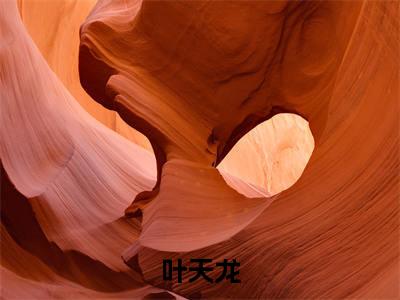 精选小说龙潜花都（叶天龙）全本阅读_叶天龙免费阅读_笔趣阁
