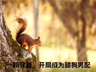 一朝穿越，开局成为舔狗男配小说（舒嫣然周云）全文免费阅读无弹窗大结局_(舒嫣然周云)一朝穿越，开局成为舔狗男配小说最新章节列表_笔趣阁（一朝穿越，开局成为舔狗男配小说）