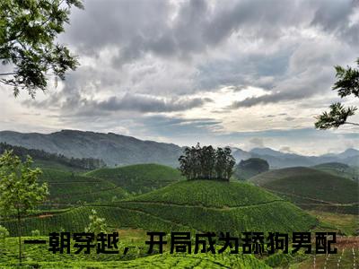舒嫣然周云正版小说全文阅读 一朝穿越，开局成为舔狗男配无删减版