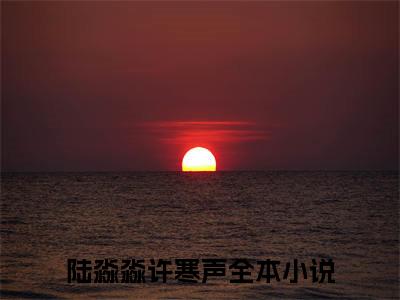 陆淼淼许寒声小说哪里能看-小说推荐陆淼淼许寒声精彩章节在线阅读