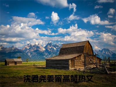 沈君尧姜甯小说（沈君尧姜甯）全文免费阅读无弹窗大结局-沈君尧姜甯最新热点小说