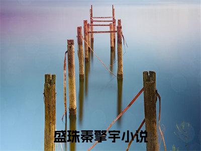 盛珠秦擎宇（盛珠秦擎宇）小说全文免费阅读无弹窗大结局_（盛珠秦擎宇免费阅读）最新章节列表笔趣阁