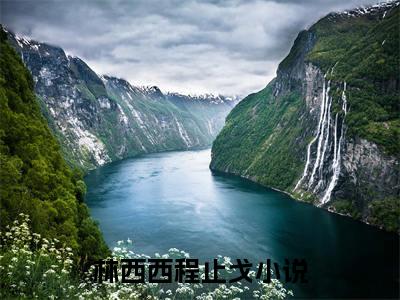 林西西程止戈（林西西程止戈）小说全文免费阅读无弹窗大结局_（林西西程止戈）小说全文免费阅读最新章节列表笔趣阁