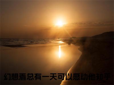 幻想着总有一天可以感动他（岑夏沈苏栩）小说免费阅读-幻想着总有一天可以感动他（岑夏沈苏栩）已完结全集大结局小说