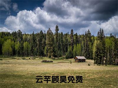 云芊顾昊（云芊顾昊小说）全文免费阅读无弹窗大结局_(云芊顾昊小说免费阅读)云芊顾昊最新章节列表