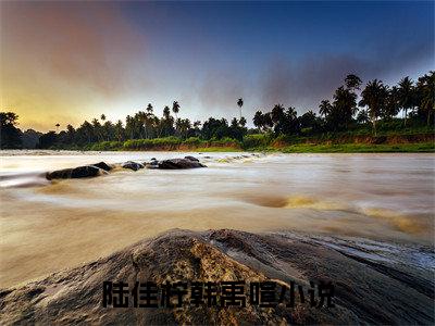 陆佳柠韩禹喧（陆佳柠韩禹喧）全网首发小说-陆佳柠韩禹喧知乎小说
