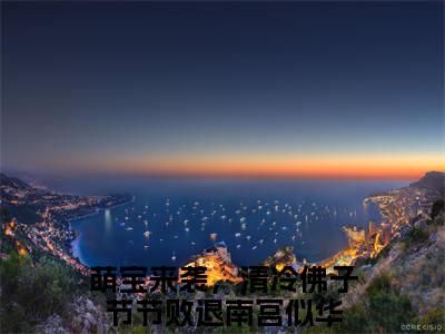 萌宝来袭，清冷佛子节节败退南宫似华小说(萌宝来袭，清冷佛子节节败退南宫似华)小说全文免费阅读_（萌宝来袭，清冷佛子节节败退南宫似华）萌宝来袭，清冷佛子节节败退南宫似华最新章节列表