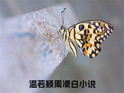 温若颖周凌白正版小说全文阅读 你是欲是念，是一辈子戒不掉的瘾无删减版