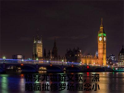 近期热门小说（快穿尤物娇又软，深陷疯批修罗场檀念）在线阅读-快穿尤物娇又软，深陷疯批修罗场檀念精彩小说全文赏析
