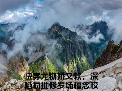 甜爆款小说快穿尤物娇又软，深陷疯批修罗场檀念-快穿尤物娇又软，深陷疯批修罗场檀念免费在线阅读