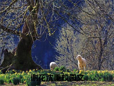 谢花沈秉（谢花沈秉）全文免费阅读无弹窗大结局_谢花沈秉最新章节列表_笔趣阁