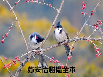 苏安怡谢韫（苏安怡谢韫)全文免费阅读无弹窗大结局_苏安怡谢韫全文完整无删减版免费阅读（苏安怡谢韫）