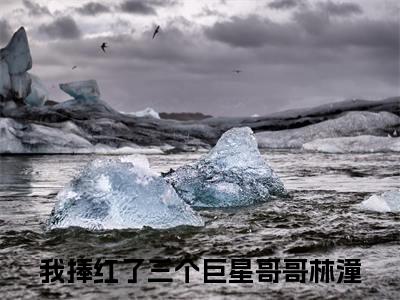 我捧红了三个巨星哥哥林潼精选言情小说- 我捧红了三个巨星哥哥林潼全文在线阅读