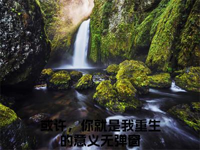 或许，你就是我重生的意义在线阅读（傅栩庭卓若云）全文免费阅读_傅栩庭卓若云最新章节列表_笔趣阁