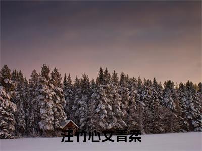 汪竹心文青柔全文免费阅读无弹窗大结局_(汪竹心文青柔阅读全文大结局)汪竹心文青柔最新章节列表（汪竹心文青柔）