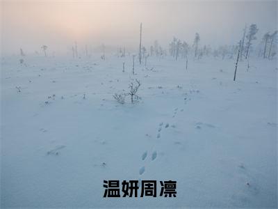 温妍周凛(温妍周凛）小说全文免费阅读无弹窗大结局_（温妍周凛）温妍周凛小说全文免费阅读最新章节列表笔趣阁（温妍周凛）