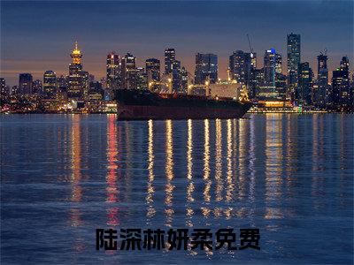 陆深林妍柔是什么小说-（陆深林妍柔）小说全文阅读