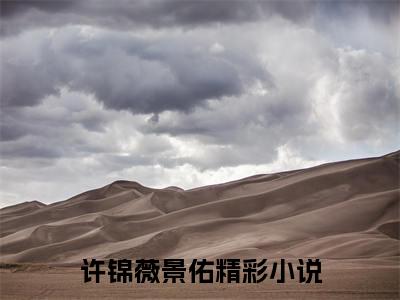 许锦薇景佑（许锦薇景佑）小说免费阅读完结版-许锦薇景佑小说全文免费阅读