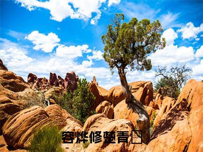 容烨修楚青婈新上热文小说讲的是什么-容烨修楚青婈全文完整版免费阅读