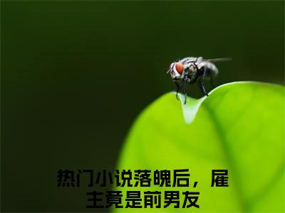 落魄后，雇主竟是前男友免费阅读无弹窗大结局，许寒声陆淼淼（最新全章节）全文阅读免费阅读-笔趣阁
