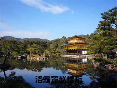 洛霜鸾赵煜珩（洛霜鸾赵煜珩）热门小说盘点在线阅读-洛霜鸾赵煜珩小说无弹窗
