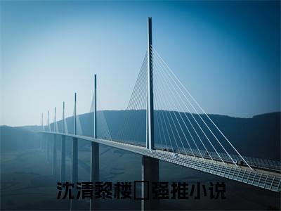 沈清黎楼璟（搂腰轻颤）免费小说-沈清黎楼璟小说完整版阅读