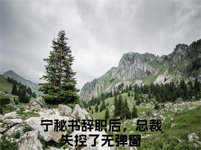 宁矜傅宴青（宁秘书辞职后，总裁失控了）全文免费阅读-(宁秘书辞职后，总裁失控了小说)宁矜傅宴青最新章节列表_笔趣阁（宁秘书辞职后，总裁失控了）